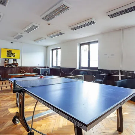 Dizzy Daisy Breslavia