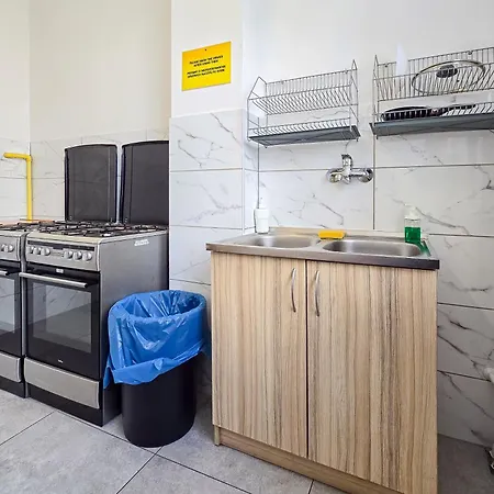 Dizzy Daisy Breslavia