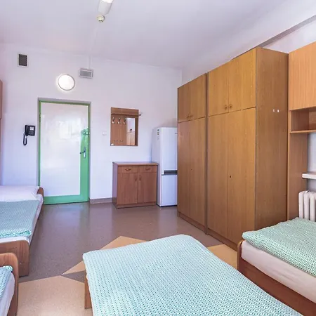 Dizzy Daisy Breslavia