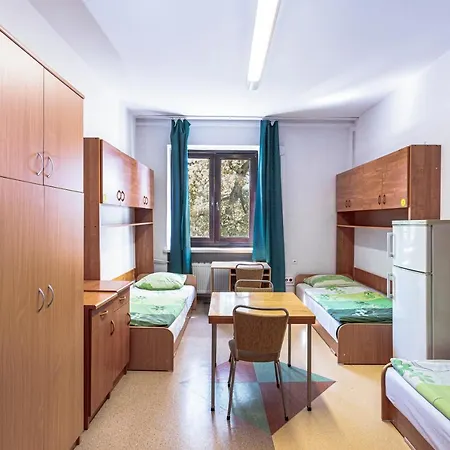 Dizzy Daisy Hostel