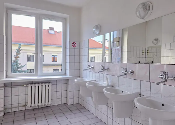 Dizzy Daisy Hostel *